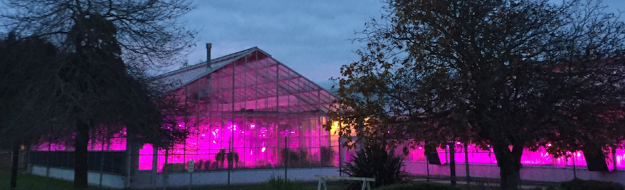 Beautiful LED lights in the PGEC greenhouses